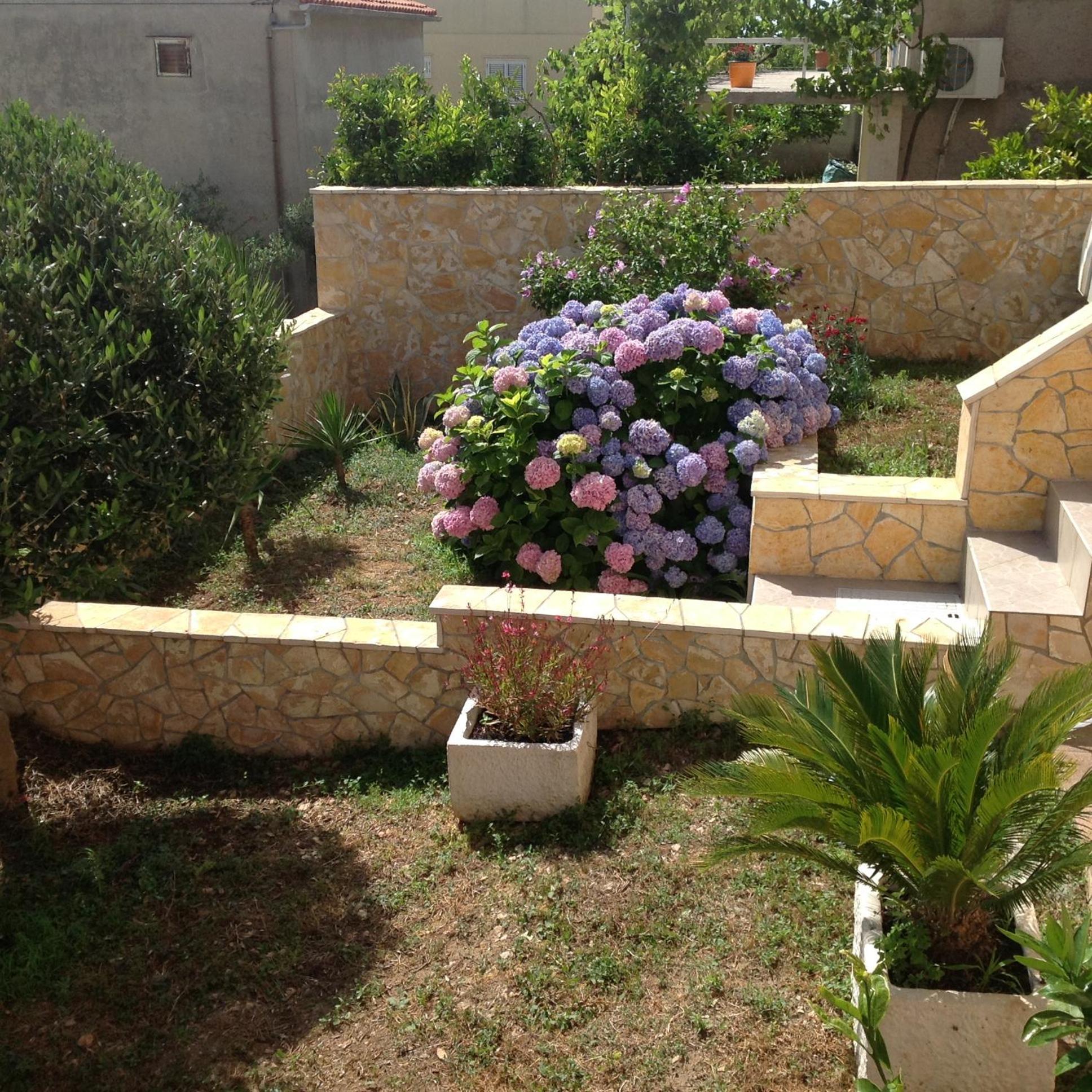 Apartments Kristina Hvar Town Room photo